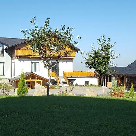 Villa Swiss Săcele Dış mekan fotoğraf