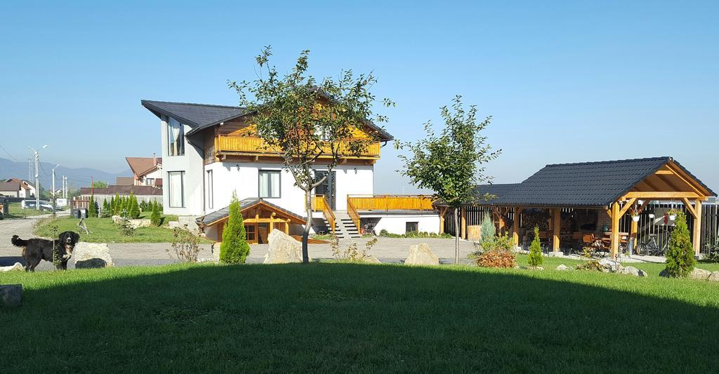 Villa Swiss Săcele Dış mekan fotoğraf