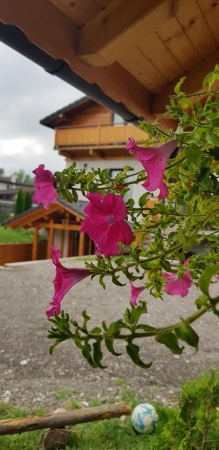 Villa Swiss Săcele Dış mekan fotoğraf