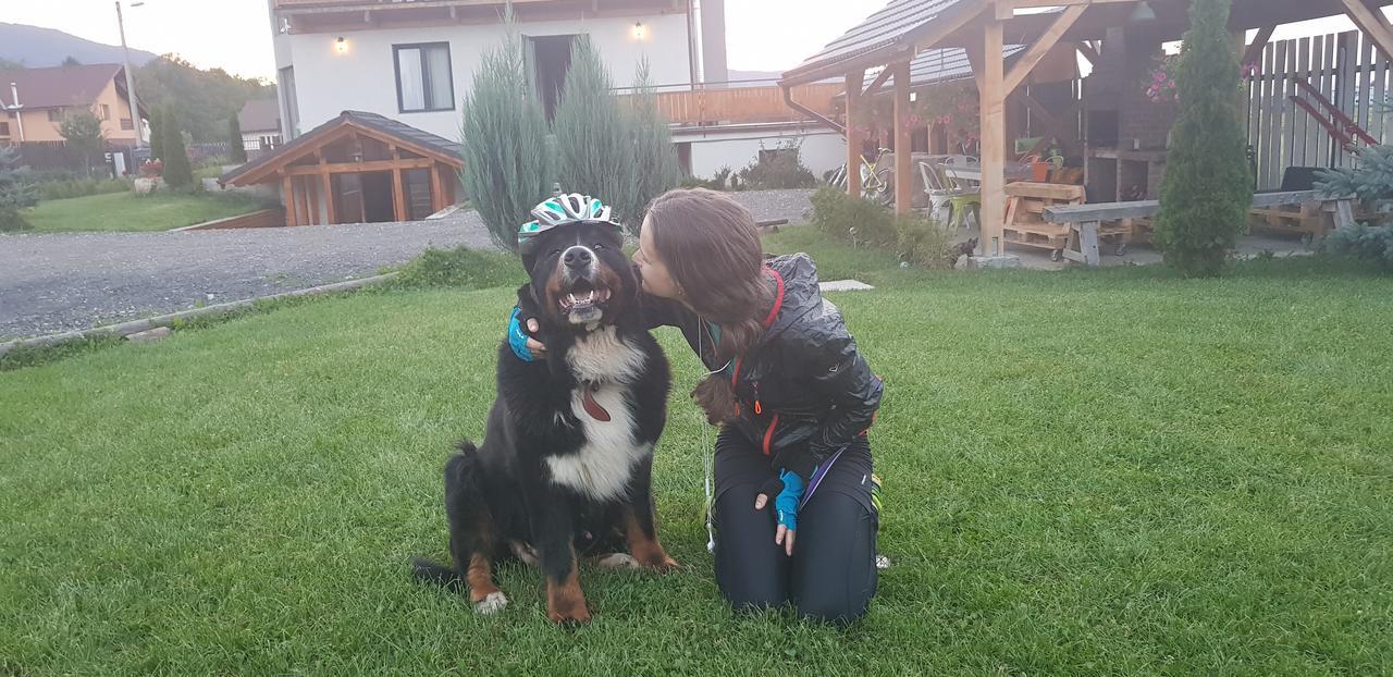 Villa Swiss Săcele Dış mekan fotoğraf
