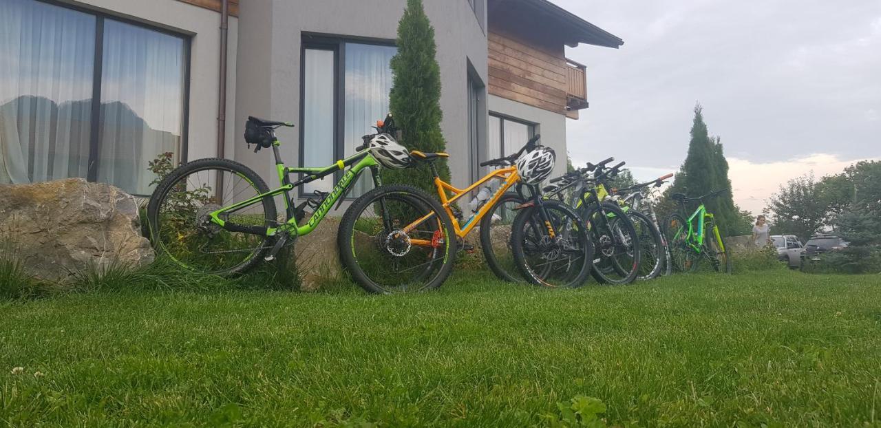 Villa Swiss Săcele Dış mekan fotoğraf