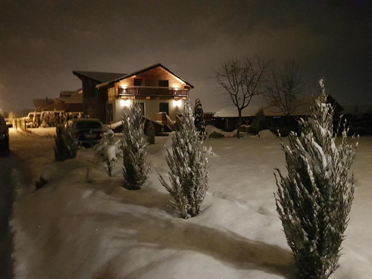Villa Swiss Săcele Dış mekan fotoğraf