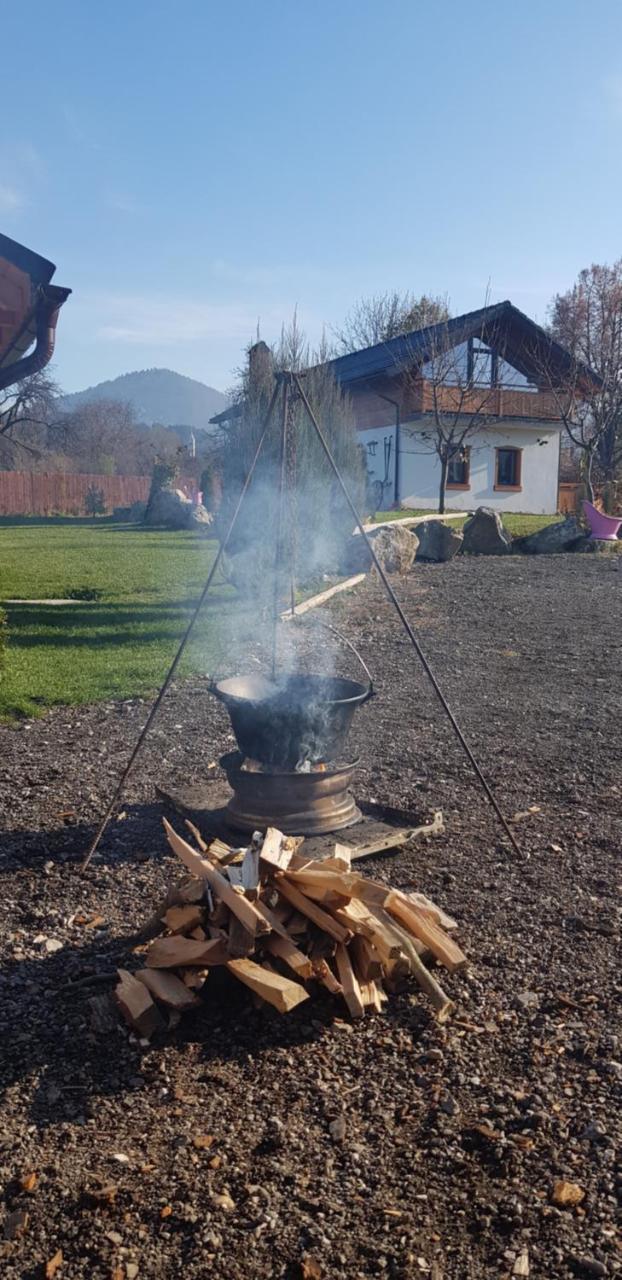 Villa Swiss Săcele Dış mekan fotoğraf