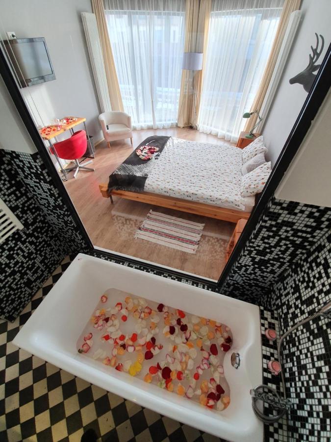 Villa Swiss Săcele Dış mekan fotoğraf