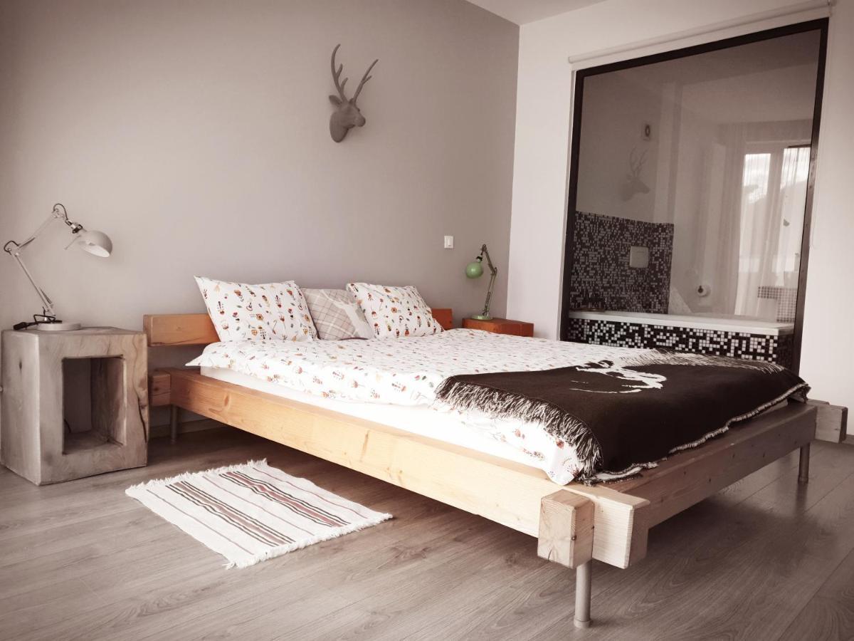 Villa Swiss Săcele Dış mekan fotoğraf